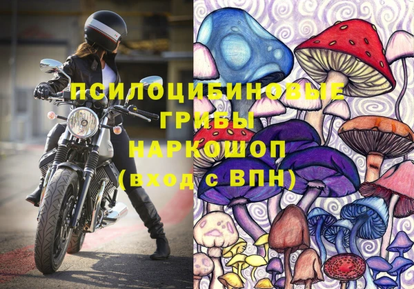 ALPHA PVP Баксан